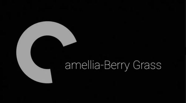 my name, Camellia-Berry Grass, designed in the style of the Criterion Collection logo