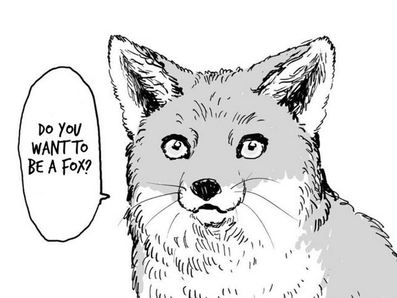 On Foxes: a series introduction